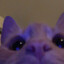 K@jqqシ™