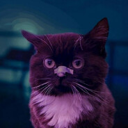 ЧахликНевмирущий