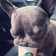 临兵斗者皆列阵在前