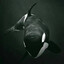 The Evil Spirit Killer Whale