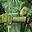 Delta monke's Avatar