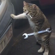 如果忧郁是一种天赋