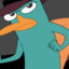 Perry The Platypus