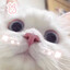 为她无所不做