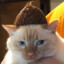 попуск трусиков's avatar