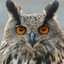 DusanConsequat's avatar