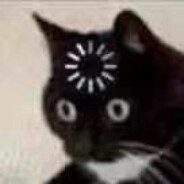 谁放了两个胡萝卜！（