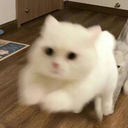 耶梦加得