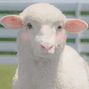 和你相逢于乱世