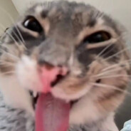 punpun