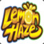 LemonHaze.&#039;