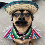 Mexican Roxi