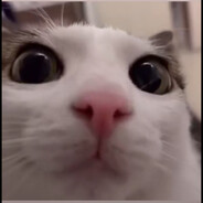 Фруктоска ♡