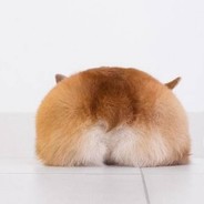 海绵宝宝误入银趴 哭诉大家无孔不入