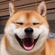 7朗7朗180