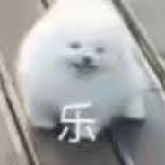 宝可梦大师  小痔