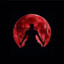 ShadowWarrior