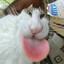 TIKA_XZP