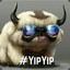 YIP YIP