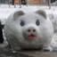 Blizzard Pig