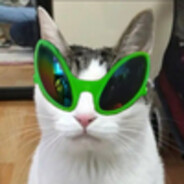 루프트바페 견습생