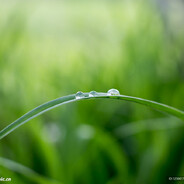 30岁大叔打的菜别喷