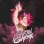 martin garrix  pe