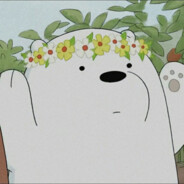 ice bear
