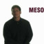 mesobook.com