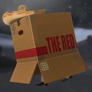THE BOX SPY