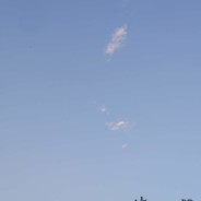 我愿称你为老八