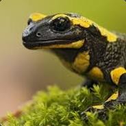 ۞Salamander.echse