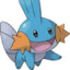 Mudkip #1 Fan