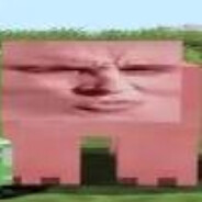 Сигма Свинка