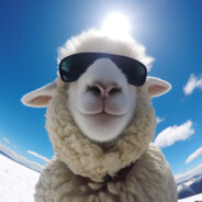 绵羊不戴帽