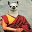 The Dalai Llama