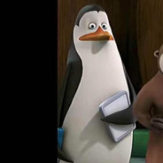 企鹅