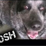 Not Accepting Mastercard