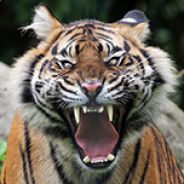 goeCK - steam id 76561197960503692