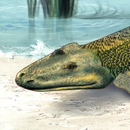 Tiktaalik