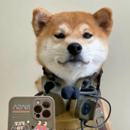 重生之我是菜狗