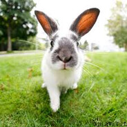 🐇BUNNY BL3ZE HOP🐇