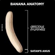 anus_bananus