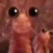 Krill