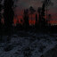 Beautiful sunset