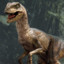 RAAPTOR