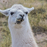 Lama