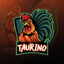 [Ttv]tau_rino_