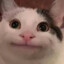 hiimstressed