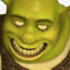 Shrek 5 on DVD